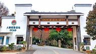 休閑旅游聚會：銅陵永泉農莊度假村是您最理想的選擇圣地 