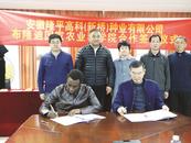 布隆迪農(nóng)業(yè)專家來淮南尋獲水稻良種