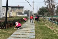宜秀區(qū)大橋街道象山村：黨建引領(lǐng)抓合力 繪制人居環(huán)境新畫(huà)卷