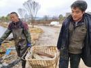 宜秀区白泽湖乡大枫社区：鱼塘丰收起鱼忙，渔民欢喜抱鱼归