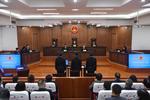 给银行造成特别重大损失  “红通人员”王国庆骗取贷款案一审开庭