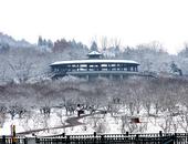 大寒到，白雪扮靚淮南
