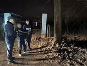 男子白天偷3只大鹅  濉溪警方：这是他最近第三次被抓