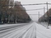 大雨！大雪或暴雪！涉及多地 中央氣象臺發布天氣公報