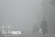 受大霧天氣影響！安徽多條高速出入口封閉