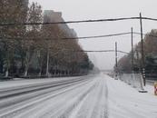 将下雪，涉及多地！中央气象台发布最新天气公报