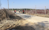 懷寧馬廟：匯聚青春力量  助力村莊清潔 