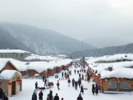 北上看雪还是南下避寒？春节出游南北两端热度高