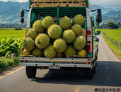 因榴蓮快熟了貨車司機(jī)高速狂奔7小時，交警攔下強(qiáng)制其休息