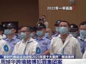 嚴(yán)打跨境賭博犯罪！起底“周焯華跨境賭博犯罪集團(tuán)案”