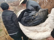 貴池區(qū)墩上街道：支書救助跌倒老人 彰顯為民服務(wù)本色