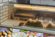 高速服務區餐柜中老鼠啃食餐品 餐飲店回應 管理疏忽第一時間將餐品下架并銷毀.mp4