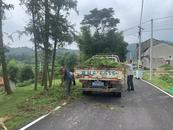 宜秀區五橫鄉曰公社區：聚力整治人居環境，擦亮鄉村振興幸福底色
