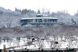 大寒到，白雪扮靓淮南