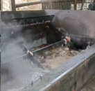 令人發指！福建泉州一工人舉報作坊違規煉油，現場大量死豬爛肉讓人震驚！