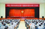 巢湖市政協(xié)十屆三次會(huì)議開幕