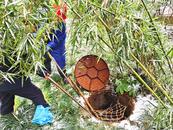 聞雪而動(dòng)：銅陵市物業(yè)管理處不畏嚴(yán)寒為居民解難