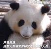 花花被遗忘外场 饲养员被解雇