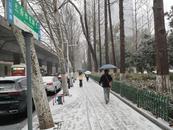 合肥路面有積雪   提醒：天冷路滑減速慢行