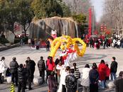 合肥濱湖國家森林公園：多彩民俗鬧新春