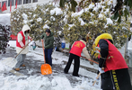 寿县双桥镇志愿除雪齐上阵