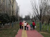周末氣溫回升 下周一合肥最高氣溫將升至20℃左右