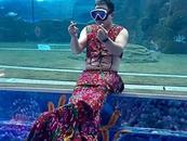 胖頭魚成了職業美人魚！男子穿“大花”扮美人魚走紅，網友戲稱“美肚鯊”