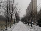 大雪飞舞！合肥市继续发布暴雪预警