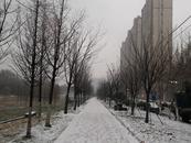 大雪飛舞！合肥市繼續發布暴雪預警