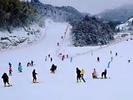 春节假期天柱山滑雪场推出早场、夜场滑雪