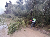 懷寧高河：清路障除冰雪 守護村民平安出行  