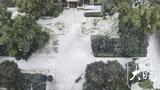 安徽进入本轮雨雪天气最强降雪时段