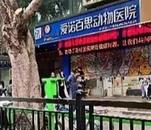 廣州一動物醫院高壓氧艙爆炸致客戶受傷？院方：已封鎖現場，交給警方調查