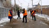 临北回族乡前坂村战严寒、开展扫雪除冰送温暖活动   助力乡村振兴