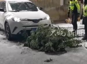 皖手度风雪 | 轿车因路面结冰原地打转，交警全力救援