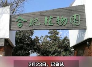 合肥植物园拟免费开放 园林年卡停止发行
