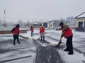 ?淮北市杜集區婦聯：巾幗除雪冰 真情暖人心     