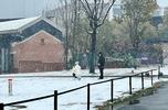 合肥骆岗公园雪景美如画  一对情侣：“走着走着就白了头”