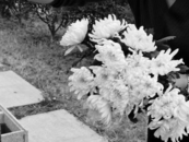 消息傳來！知名作家次子不幸身亡，7年前長子自殺離世……