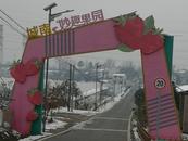 新春走基層 | 六安“草莓村”：靜待春暖花開
