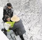 4個月龍鳳胎被困高速，眾人接力轉(zhuǎn)移