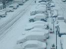 最大19厘米！ 安徽38站点出现积雪