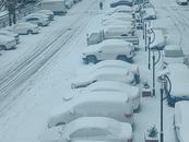 最大19厘米！ 安徽38站點出現積雪