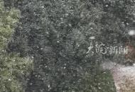 合肥發布暴雪預警 安徽最強降雪時段來臨