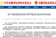 中共宣城市委批準，陳葉青被開除黨籍