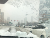 停運、封路、延誤…… 當春運遭遇雨雪天氣，如何走好返鄉路？