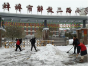 以雪為令 聞令而行——解二小黨員教師鏟雪除冰保路暢通