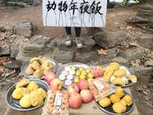 狗熊看到“萌噠噠”食物都“呆了”！動物園八旬園長：誰能幫忙做做“動物年夜飯”？
