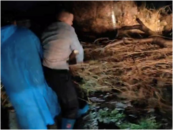 懷寧縣高河鎮騎龍社區：風雨無情人有情 清理斷枝保暢通  