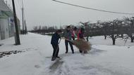 新莊鎮(zhèn)常莊村：干部齊上陣  掃雪除冰暖人心 